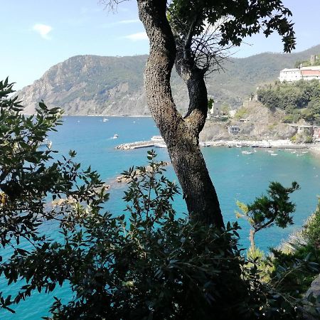 Nel Cuore Di Monterosso Cinque Terre Orto Di Ciack Monterosso al Mare Buitenkant foto