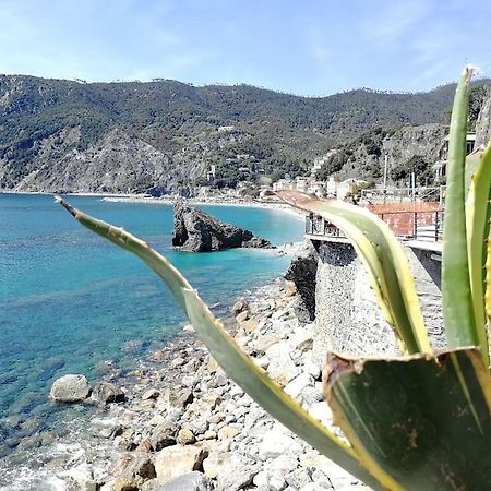 Nel Cuore Di Monterosso Cinque Terre Orto Di Ciack Monterosso al Mare Buitenkant foto