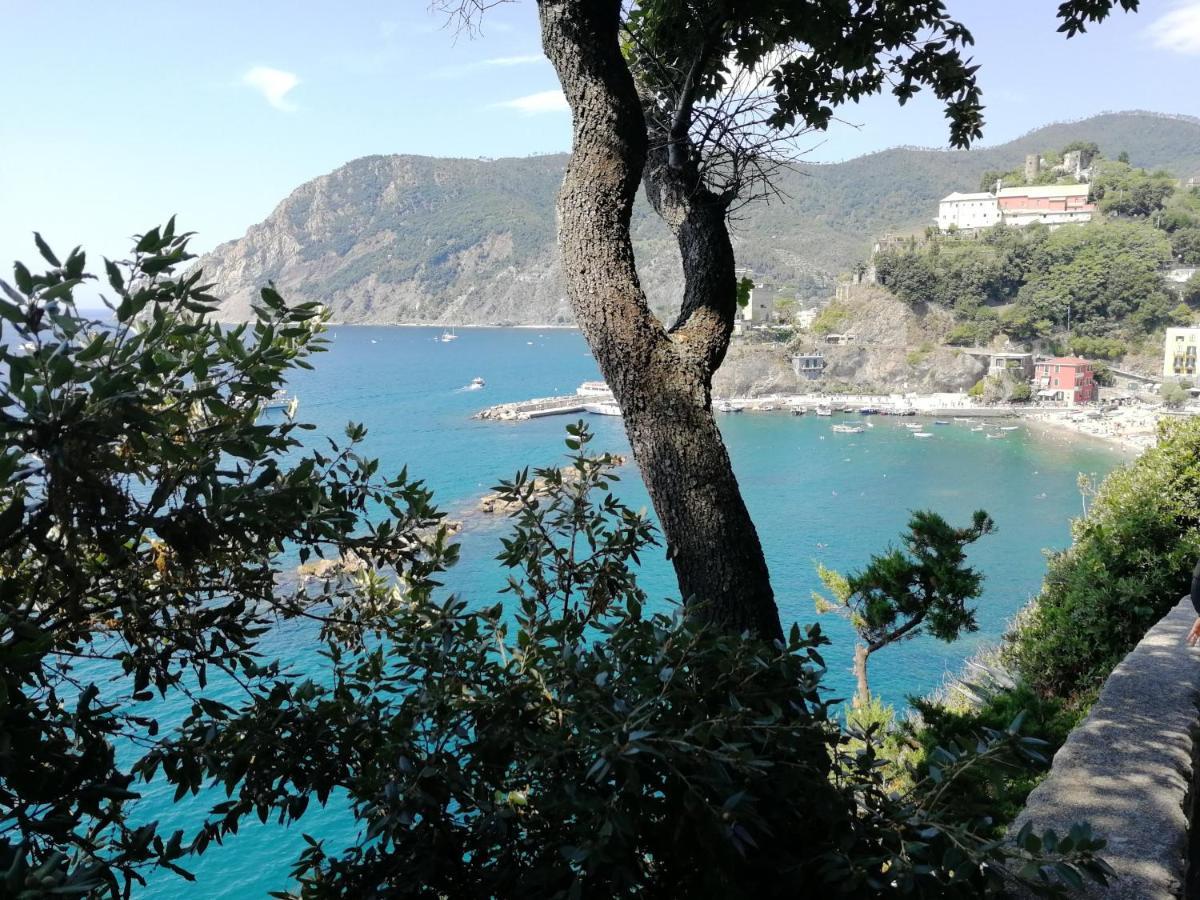 Nel Cuore Di Monterosso Cinque Terre Orto Di Ciack Monterosso al Mare Buitenkant foto